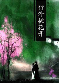 竹外桃花打一正确生肖