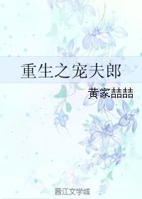 重生之宠夫郎by黄家喆喆
