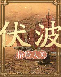 伏波是什么意思