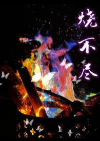 烧不尽主角
