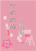 书名叶教授的小黏糖
