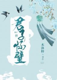 君子怀璧 百度