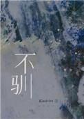不驯 石头与水 笔趣阁