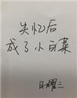 失忆以后成了小白菜