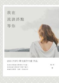 我在流浪的