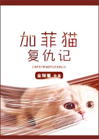 金刚圈加菲猫复仇记