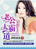 宠妻狂魔霸道老公太给力