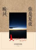 夏夜晚风歌词是什么意思