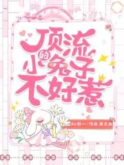 顶流作者不好惹全文免费