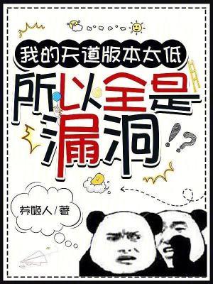 所以全是漏洞全文免费阅读
