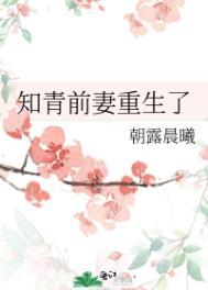 知青前妻重生了全文免费