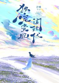 独宠宠妃