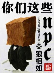 你们这些npc在线阅读