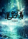 穿越魔皇武尊是哪一年的