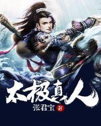 太极真打实战视频