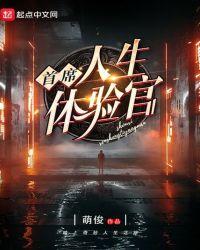 首席人生执行官