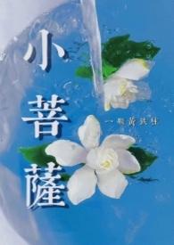 小菩萨笔趣阁无弹窗
