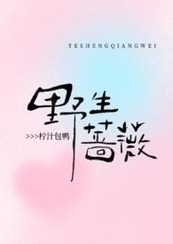 野生蔷薇花图片