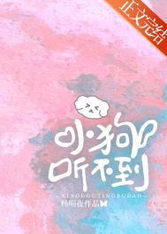 小狗听不到杨夜明免费阅读