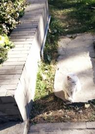 媚欢 乔亦暖 笔趣阁免费