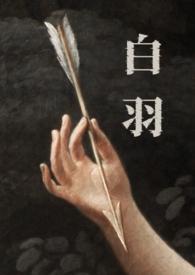 白羽是哪部的角色