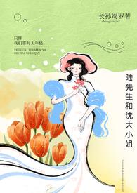 陆先生免费阅读全文