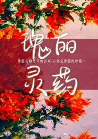 瑰丽的解释是什么意思