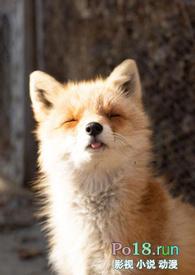 睡了反派男二之后(1v1)双男主