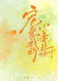 宠爱我的小老师