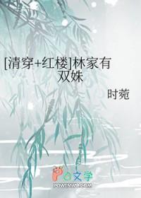 清穿+红楼林家小爷免费阅读