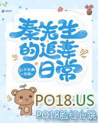 秦先生宠妻日常完结文