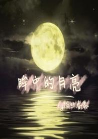 眸中海湾的作品