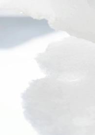 何慕校园病娇免费阅读最新章节
