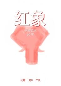 红象饮料有限公司怎么样?