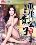 重生贵公子顶点