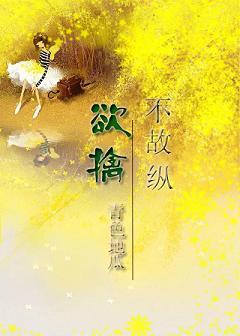 欲擒故纵 欲