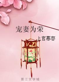 宠妻为上全文阅读免费