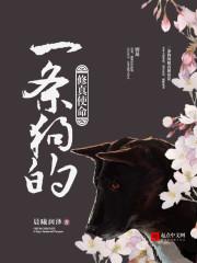 一条狗的使命是真的吗