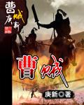 曹贼之好是什么意思