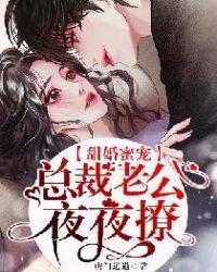 总裁老公夜夜聊
