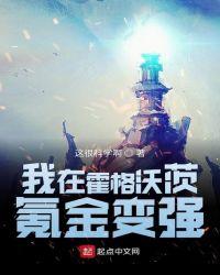 我在霍格沃茨的日子