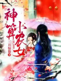 神算小农女百度