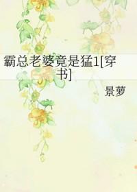 霸总的妻子