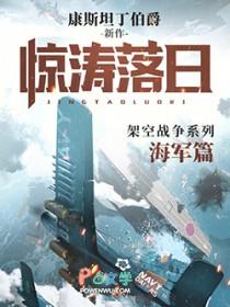 惊涛落日全集txt免费