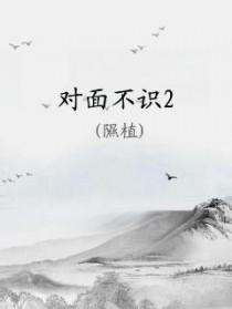 对面不识歌词