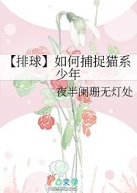 小排球猫猫