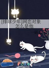 排球少年男主的女朋友
