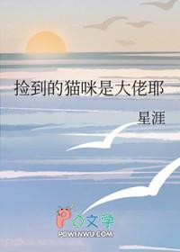 捡来的猫咪是男的漫画