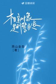 相亲对象是刑警队长 心匙
