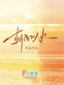 朝阳似火演员表